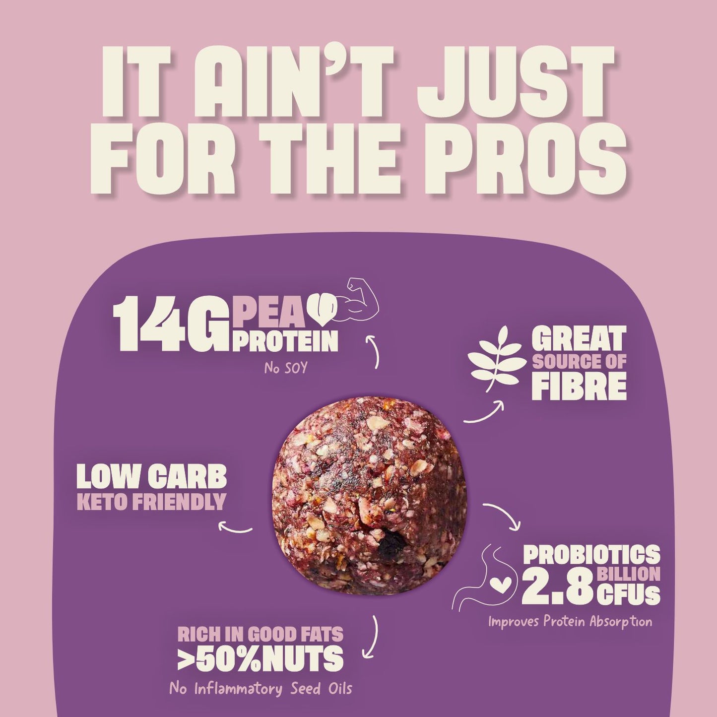 PROTEIN BALLS Blueberry Oat Muffin