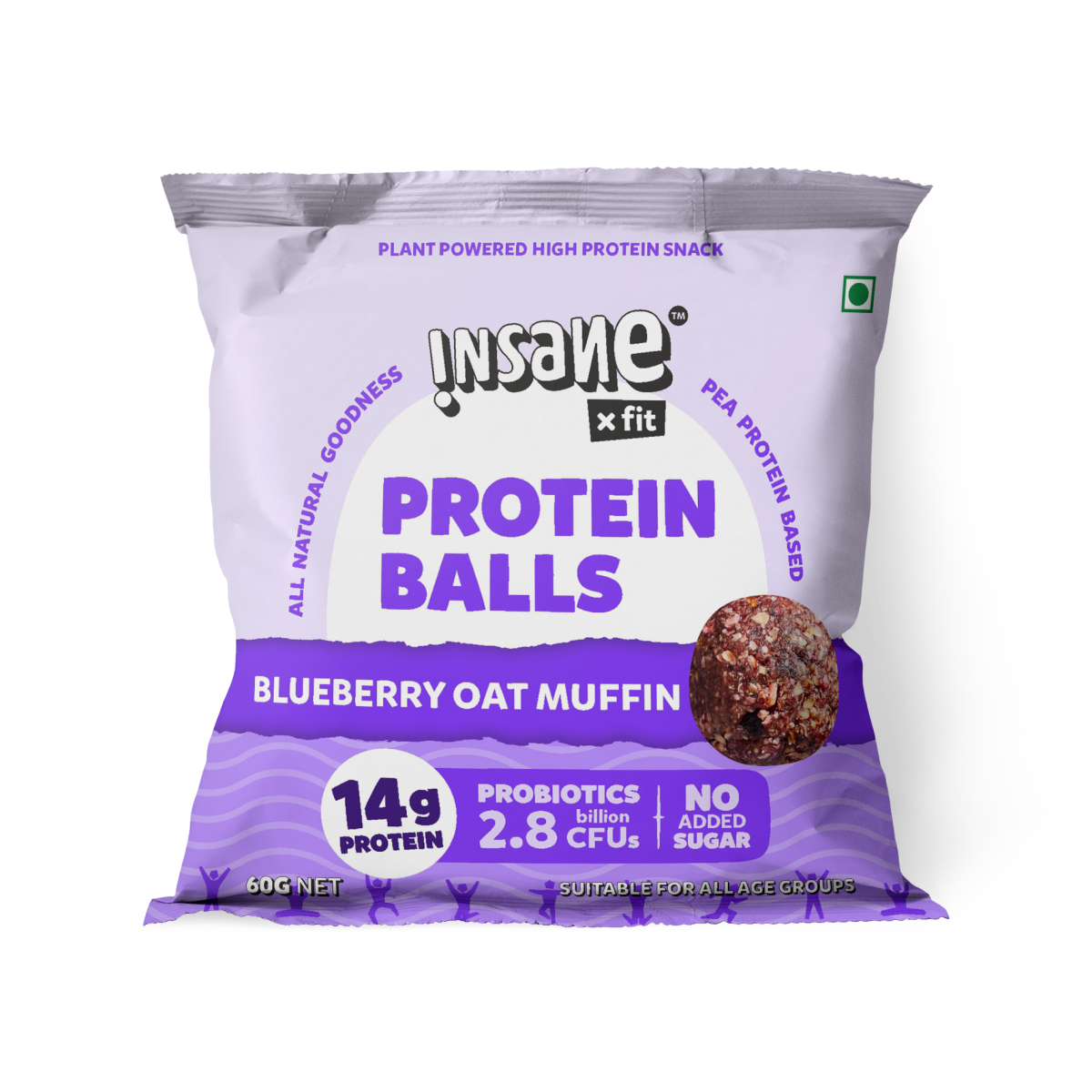 PROTEIN BALLS Blueberry Oat Muffin